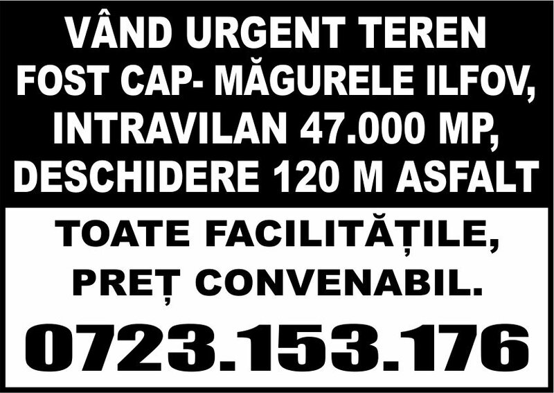 Magurele, Ilfov, vand teren urgent