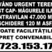 Magurele, Ilfov, vand teren urgent